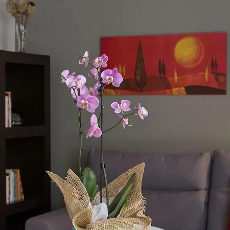 Pelagos Apartment